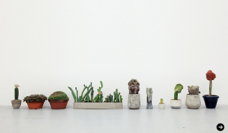 Qusamura temporary shop at limArt vol.2-植物も個性の時代-03