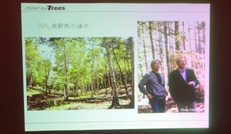 more trees | 5th Anniversary Party Report 05