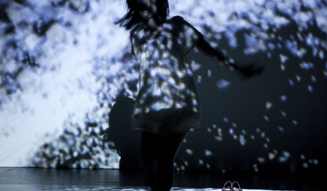EVENT｜一夜かぎりのアートの饗宴「六本木アートナイト2013」03