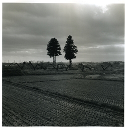 ART|村越としや写真展 02