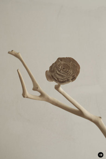 Yuta Nishiura | Galerie wa2 04