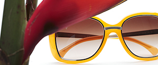 Sunglasses Feature 03
