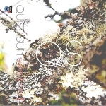 Quiet Sun "Flicker and Fade EP"