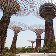 "Is There Always a Hawker Center Next to Every Landmark?" Page 5