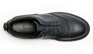 AUTHENTIC SHOE｜SPECTUSSHOECO. 03