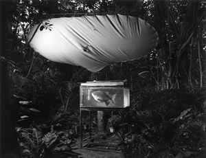 Kozoh Miyoshi Photography Exhibition 02