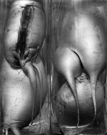 Kozoh Miyoshi Photography Exhibition 05