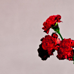 John Legend "Love In The Future"