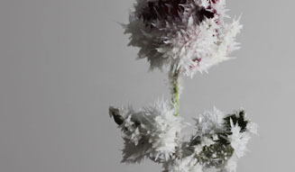 Tokujin Yoshioka | Crystallize 03