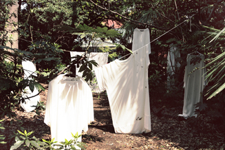 Shibukaru Festival 06