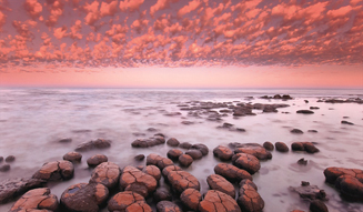 'The Wildlife Photo: Masters of the Masters' 03