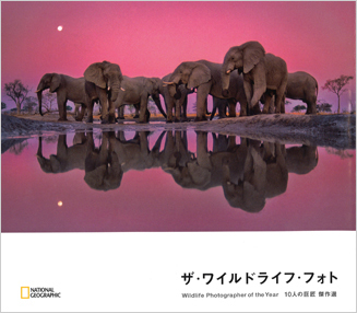 'The Wildlife Photo: Masters of the Masters' 