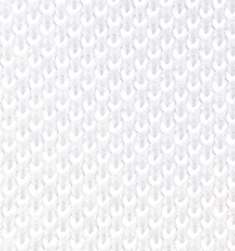LACOSTE|ラコステ 12