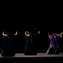 Ballet Flamenco Eva Yerbabuena|エバ・ジェルバブエナ フラメンコ舞踊団 07