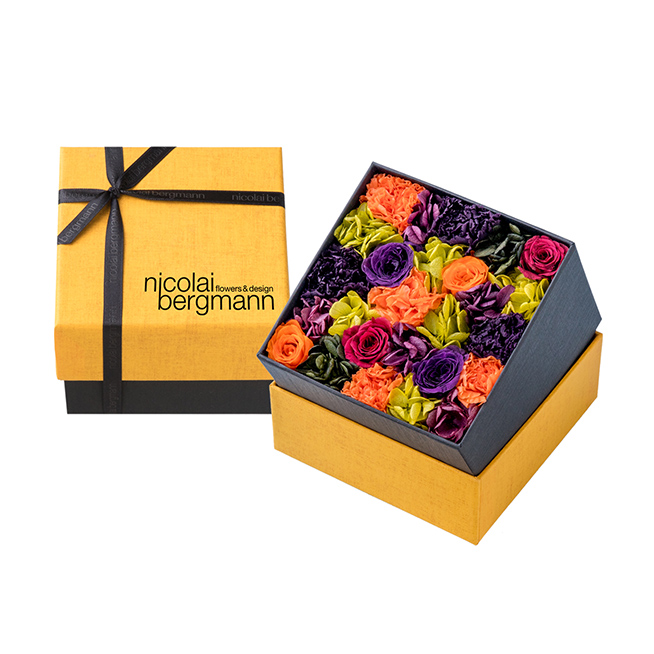 nicolai-bergmann_007