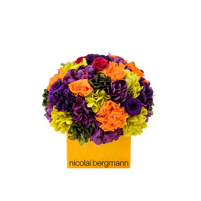 nicolai-bergmann_009