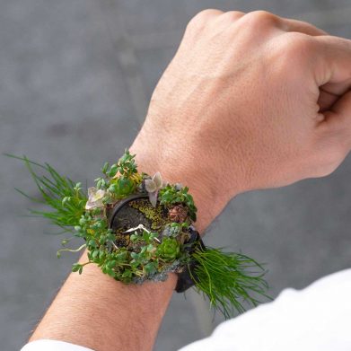 H. Moser Moser Nature Watch